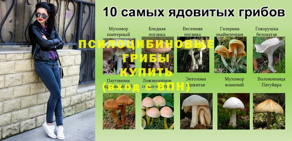 мяу мяу кристалл Арсеньев
