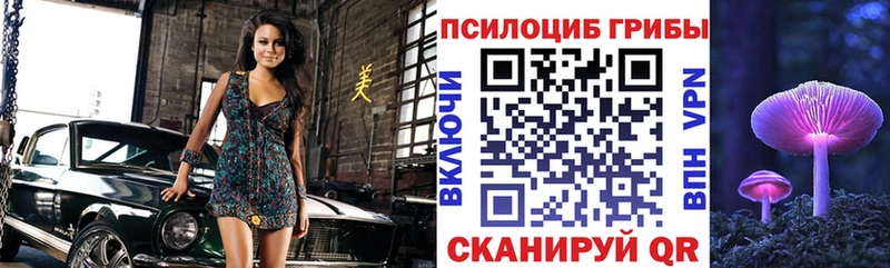 Псилоцибиновые грибы Cubensis  цена   Колпашево 